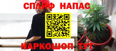 прущие грибы Гусь-Хрустальный