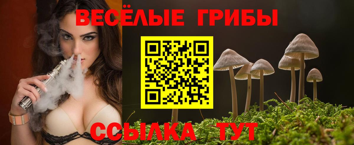 Кирово-Чепецк  Псилоцибиновые грибы ЛСД  Вход с VPN 